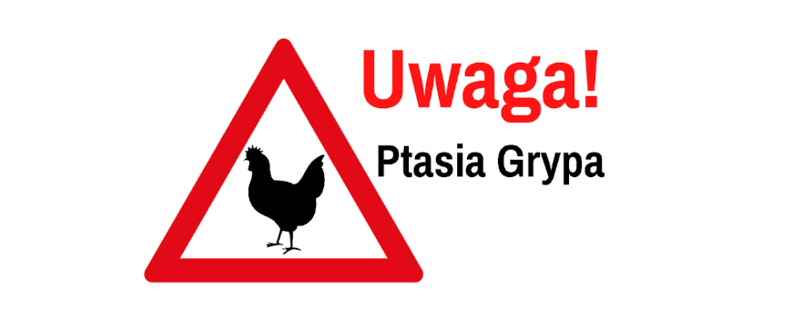 Wzrasta zagrożenie ptasią grypą